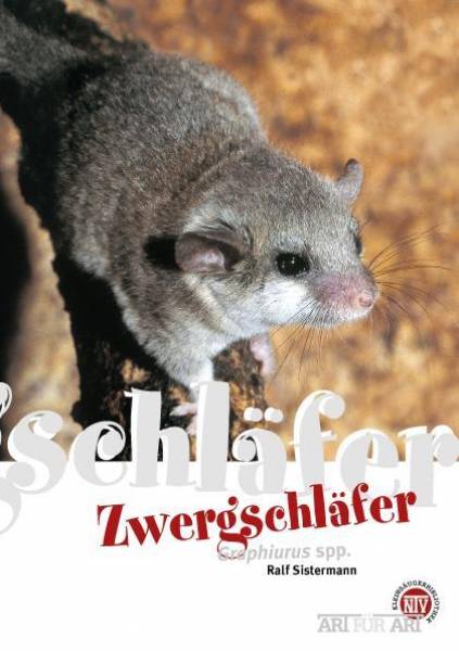 Zwergschläfer